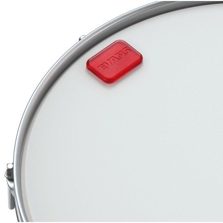 Evans EQ-Pods - Sordina de gel para batería | Control de armónicos y sustain