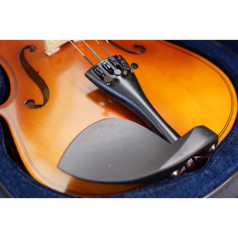 GREKO VB301M Violin con estuche