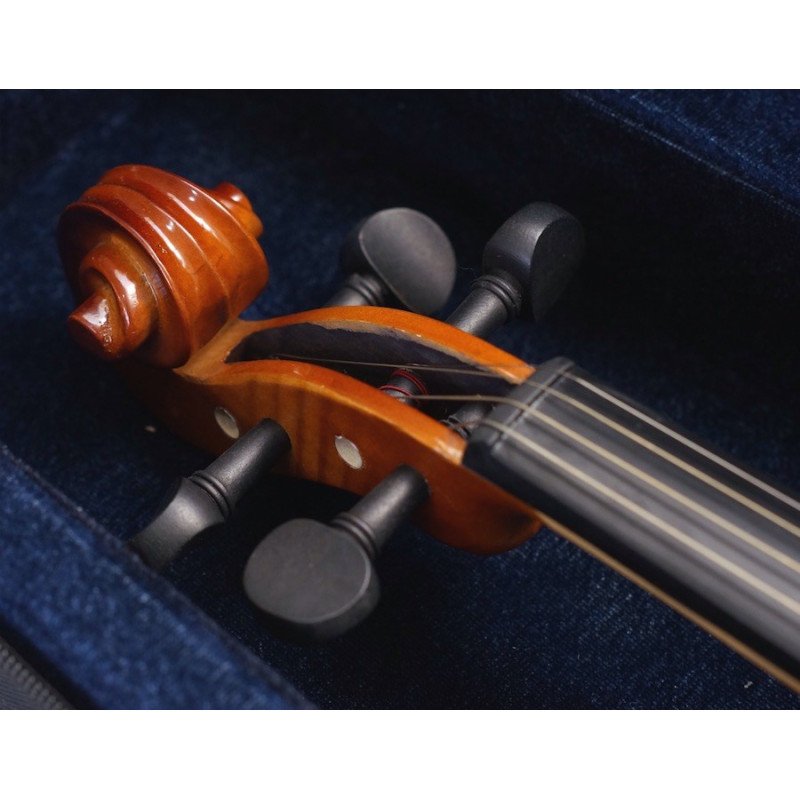 GREKO VB301M Violin con estuche