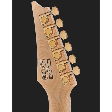 IBANEZ GRG220PA-RLB Guitarra Electrica