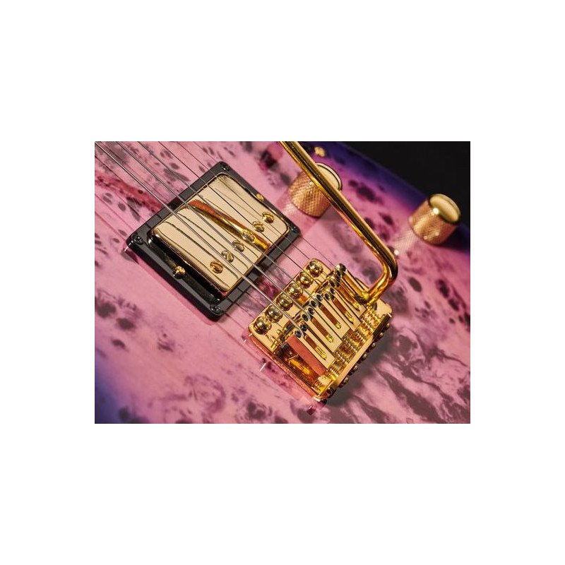 IBANEZ GRG220PA-RLB Guitarra Electrica