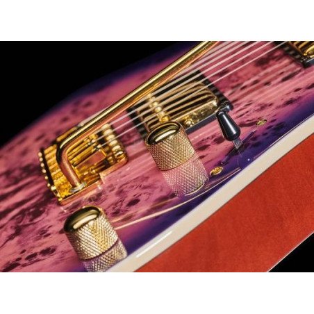 IBANEZ GRG220PA-RLB Guitarra Electrica