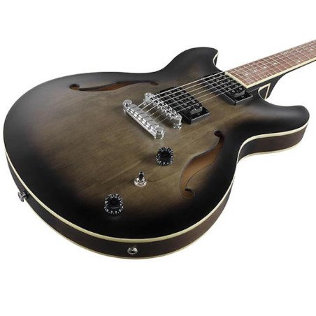 IBANEZ AS53-TKF Guitarra Eléctrica Hollowbody