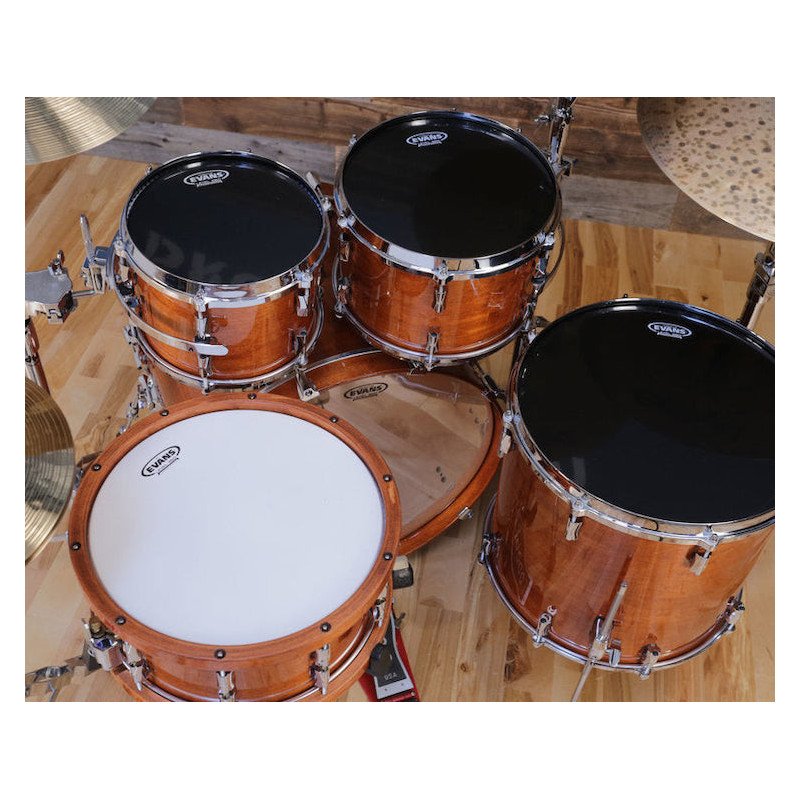 EVANS TT16HBG HYDRAULIC Parche de 16" para toms color negro