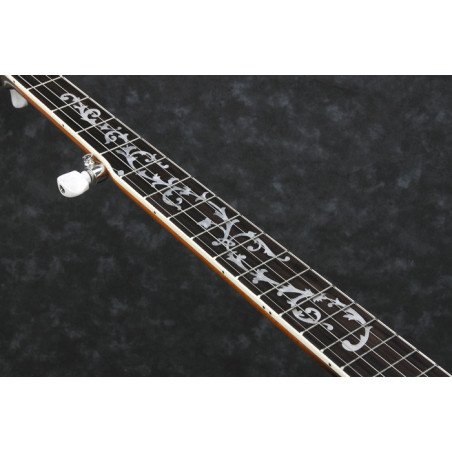 Descubre el sonido auténtico del Ibanez B200 Banjo