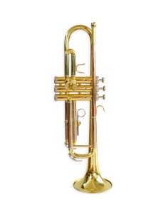 ARISTTON 6419L Trompeta en Bb con estuche y accesorios